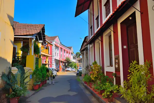 pajim goa
