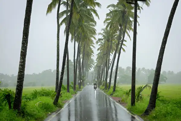 parra goa india